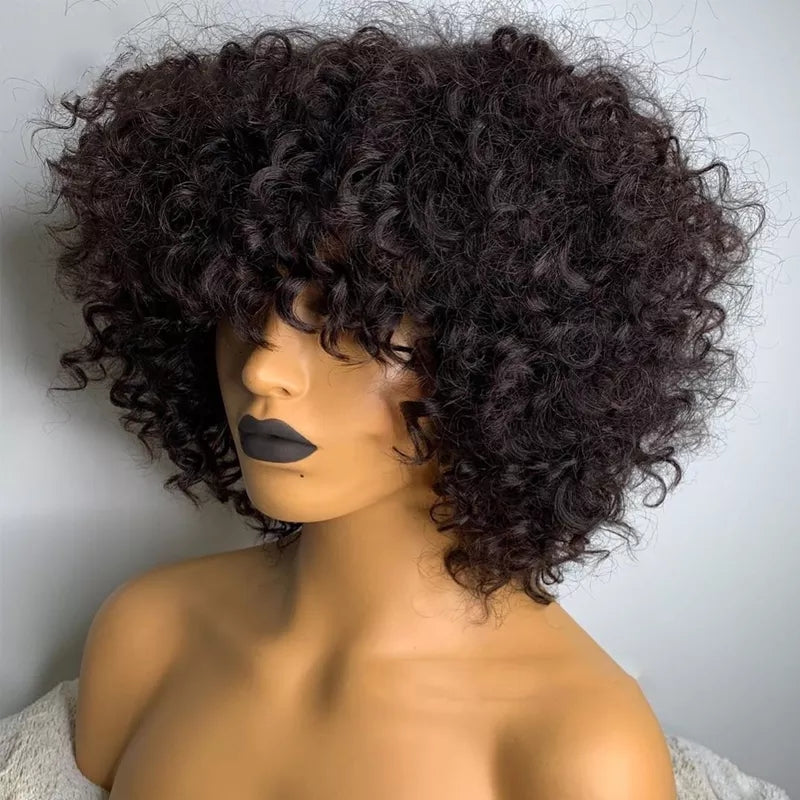 Peruca cabelo Humano Cacheada - Maria